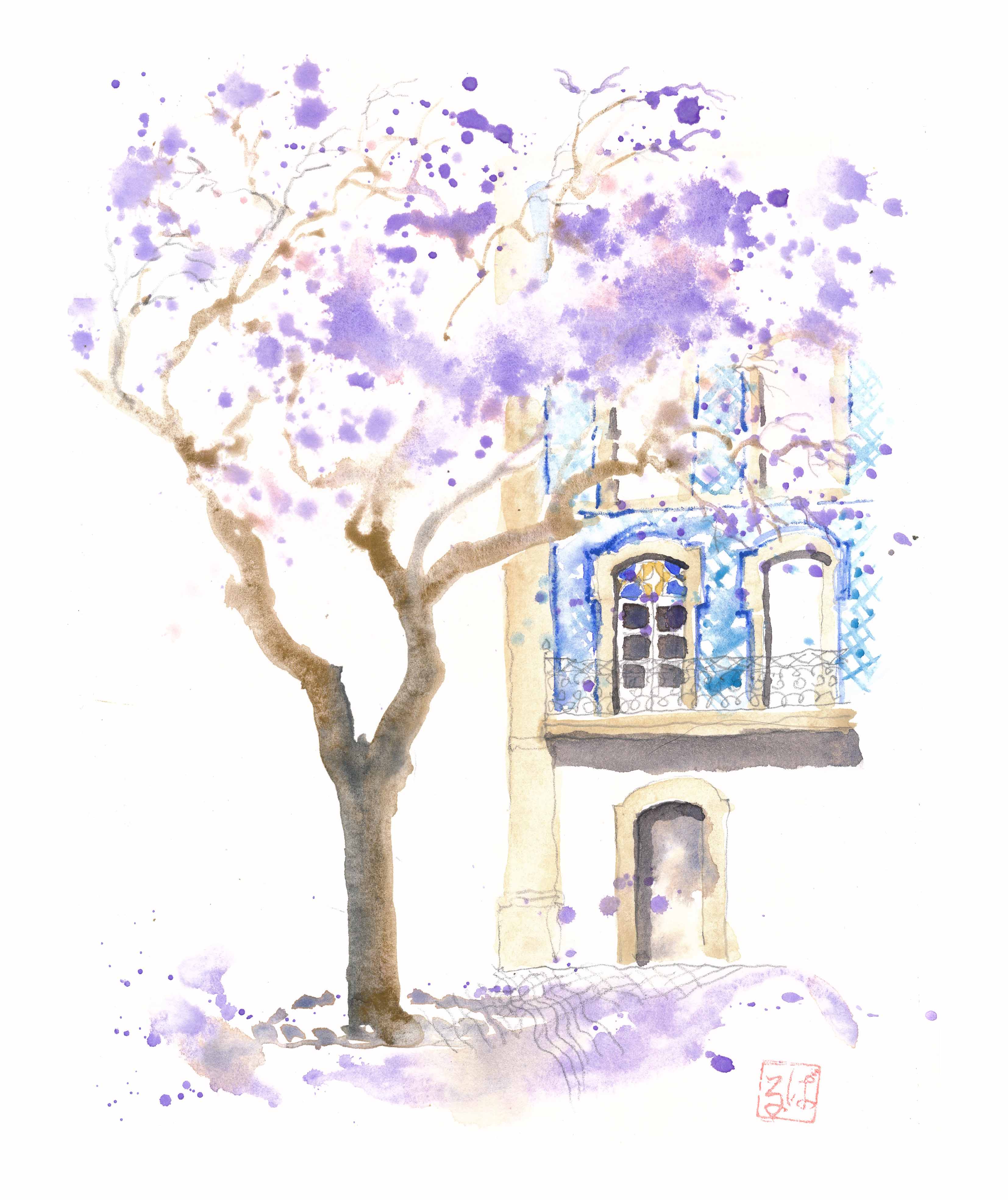 Jacaranda tree in Lagos, Portugal