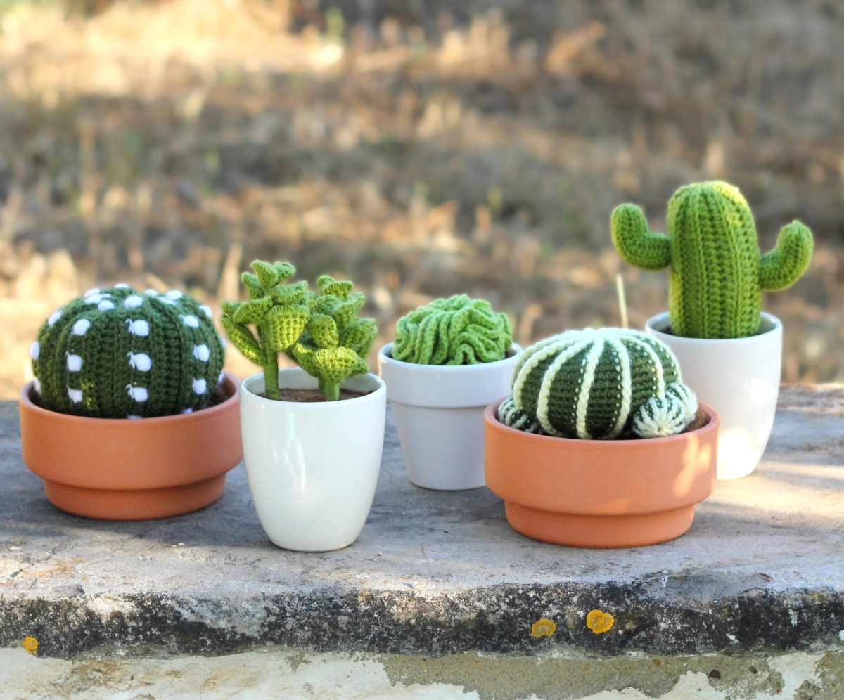 Amigurumi Cactus and Succulent Crochet Pattern