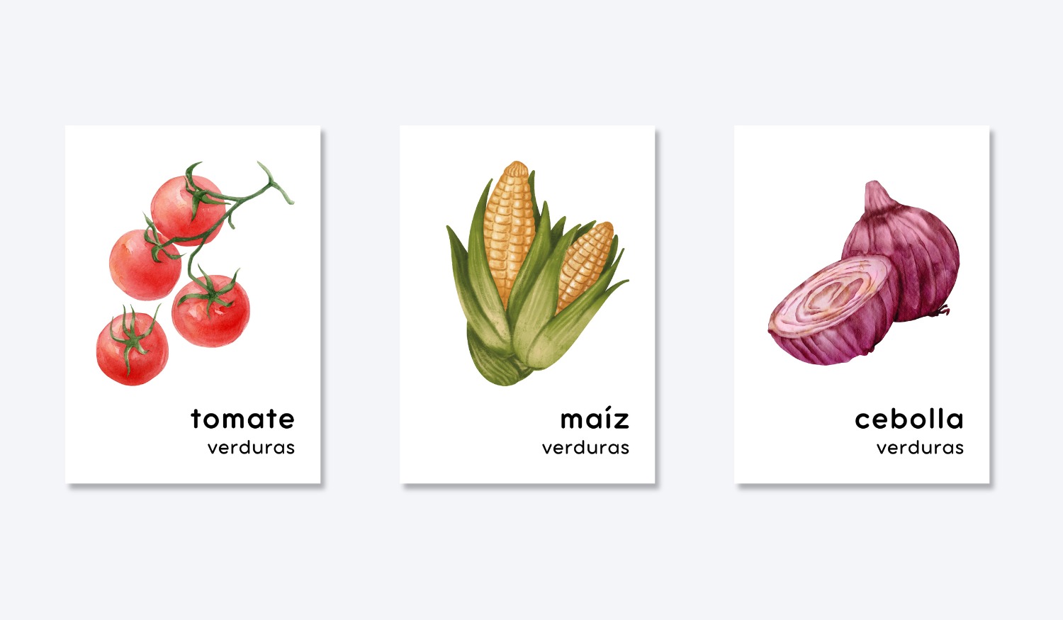 SPANISH FOOD GROUP FLASHCARDS