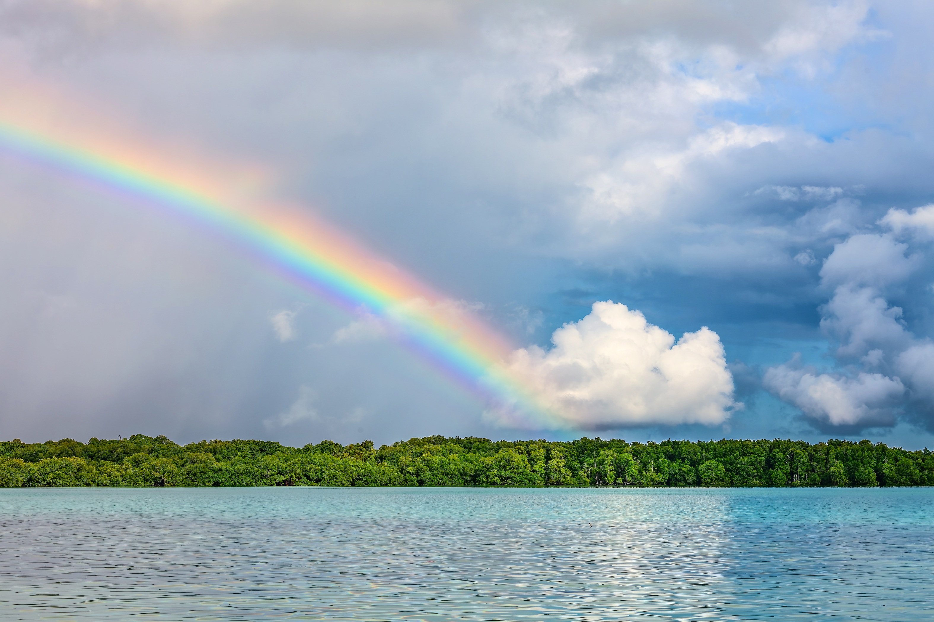 Do you have a Rainbow Aura?