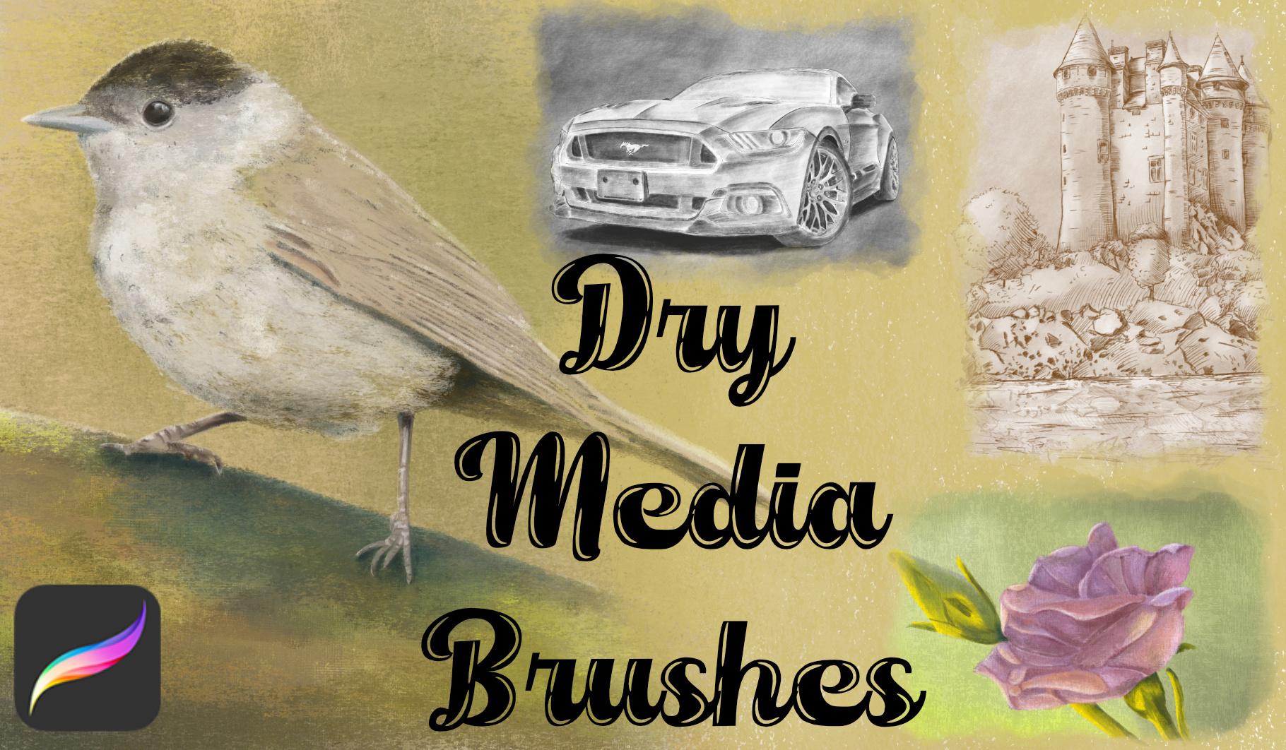Dry Media Brushes for Procreate
