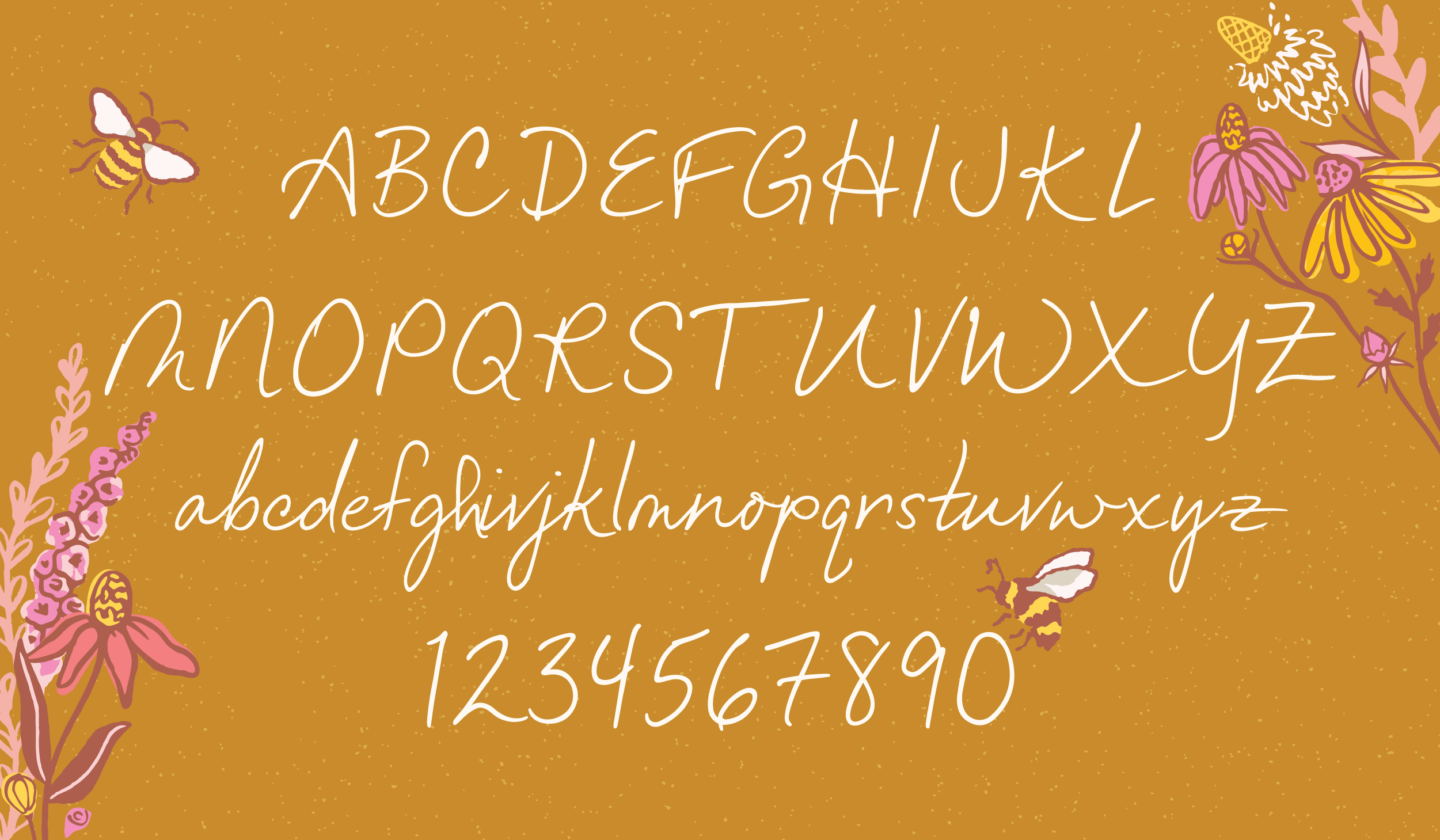 Miss Bee Script Font