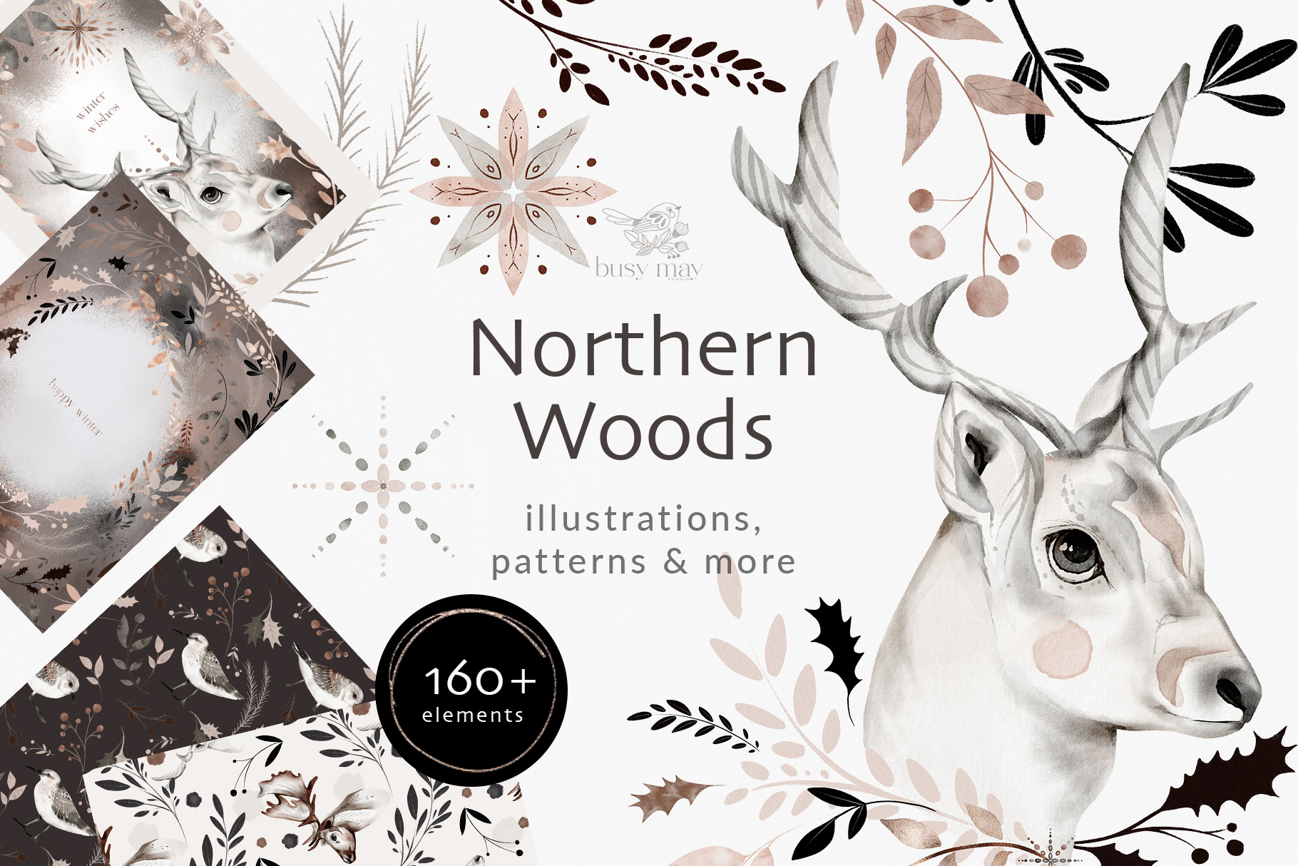 Northern Woods Winter Illustrations and Elements