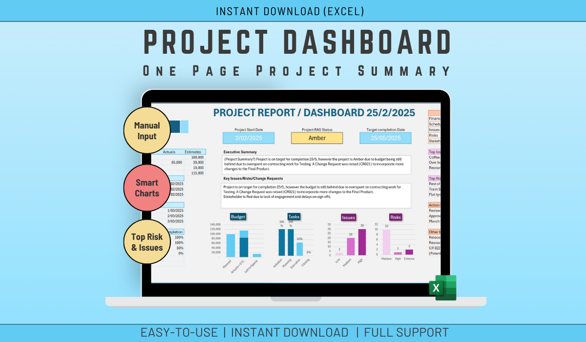 Excel Project Dashboard Template 