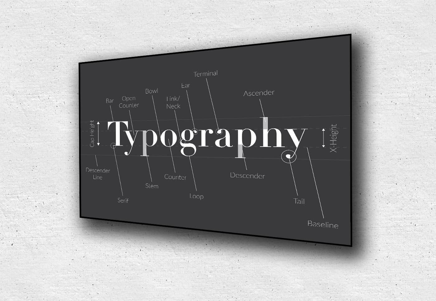 Anatomy of Type Poster
