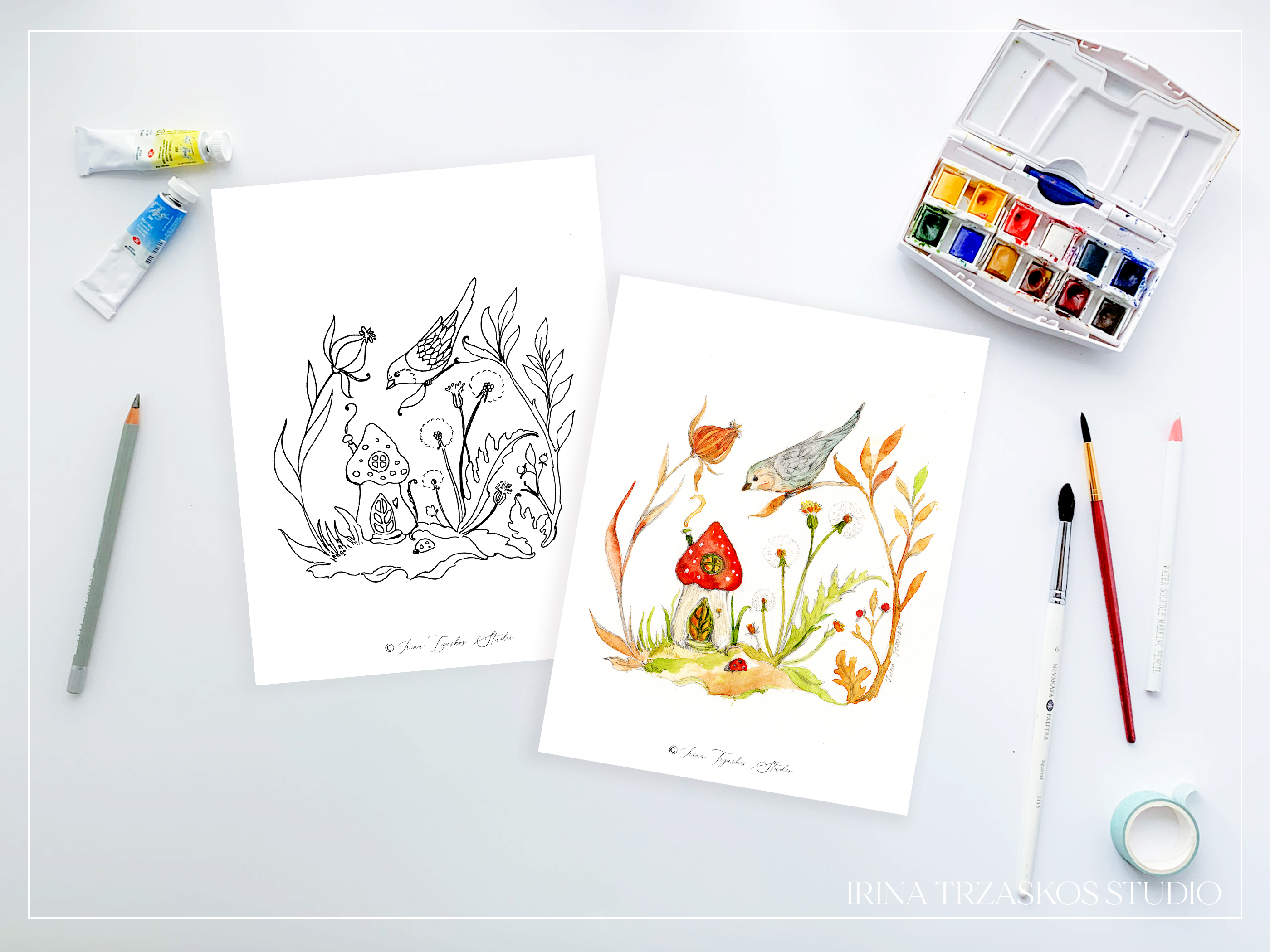 Woodland Illustrations Templates or Coloring Pages + Lesson