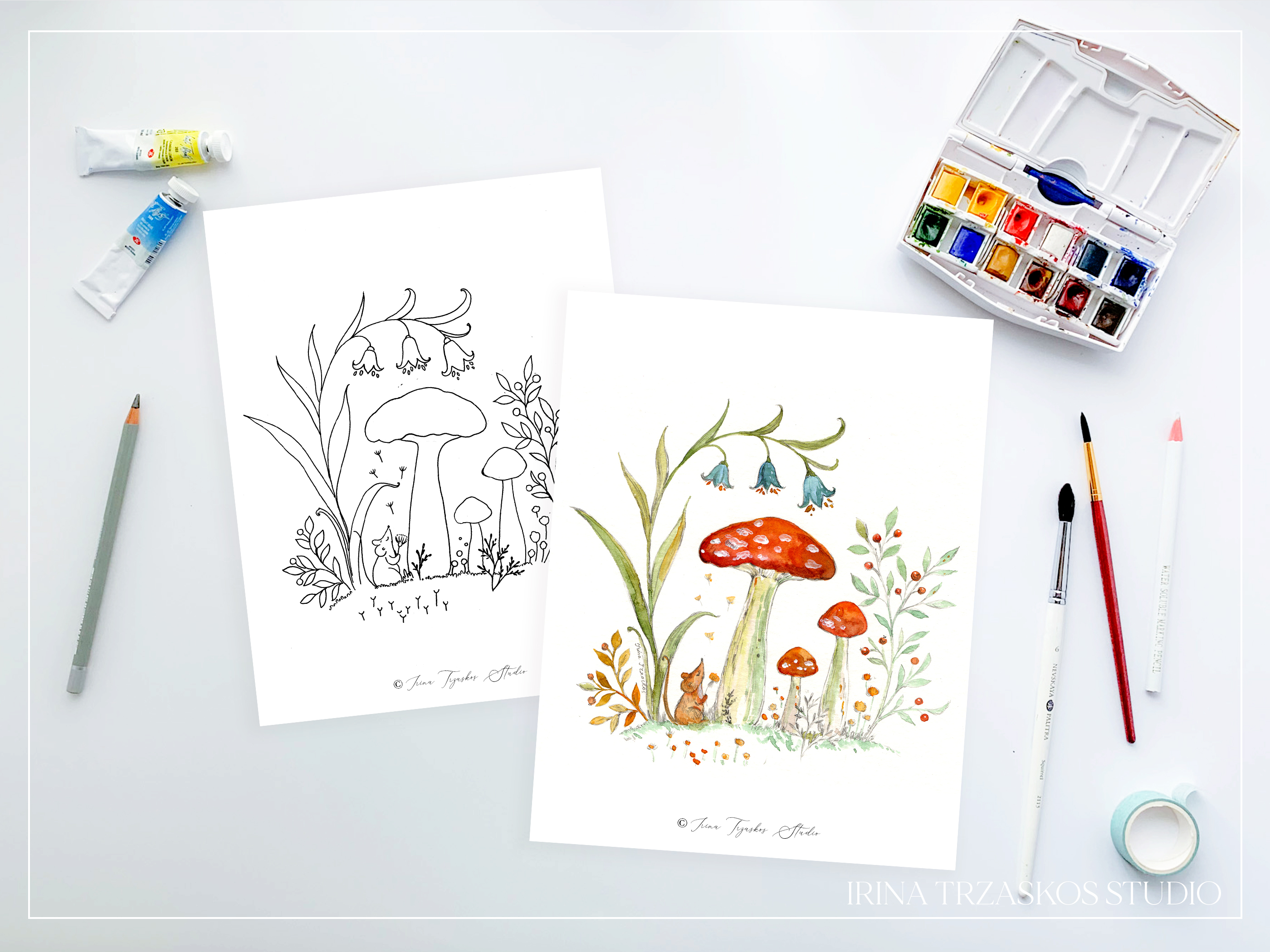 Woodland Illustrations Templates or Coloring Pages + Lesson