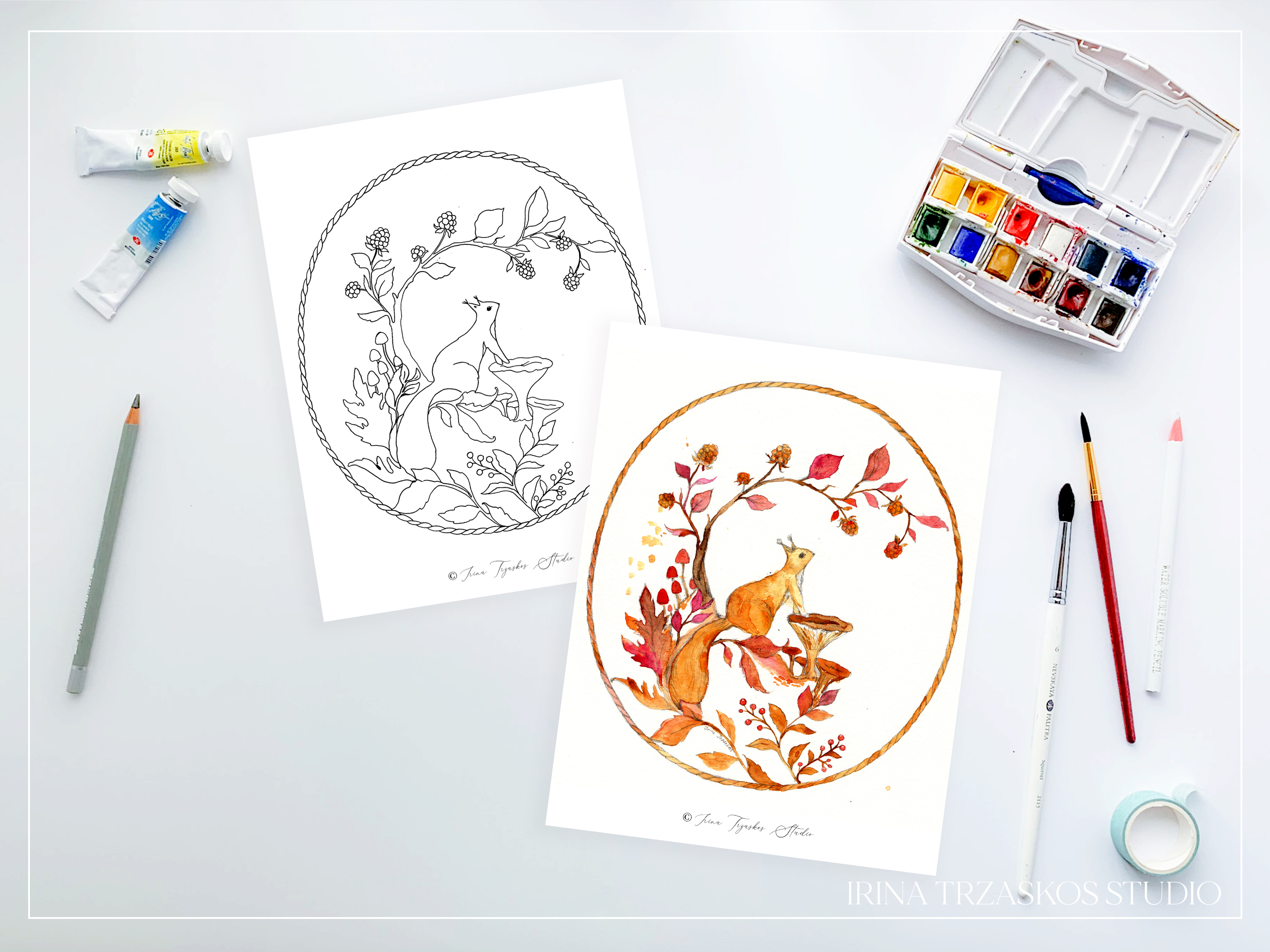 Woodland Illustrations Templates or Coloring Pages + Lesson