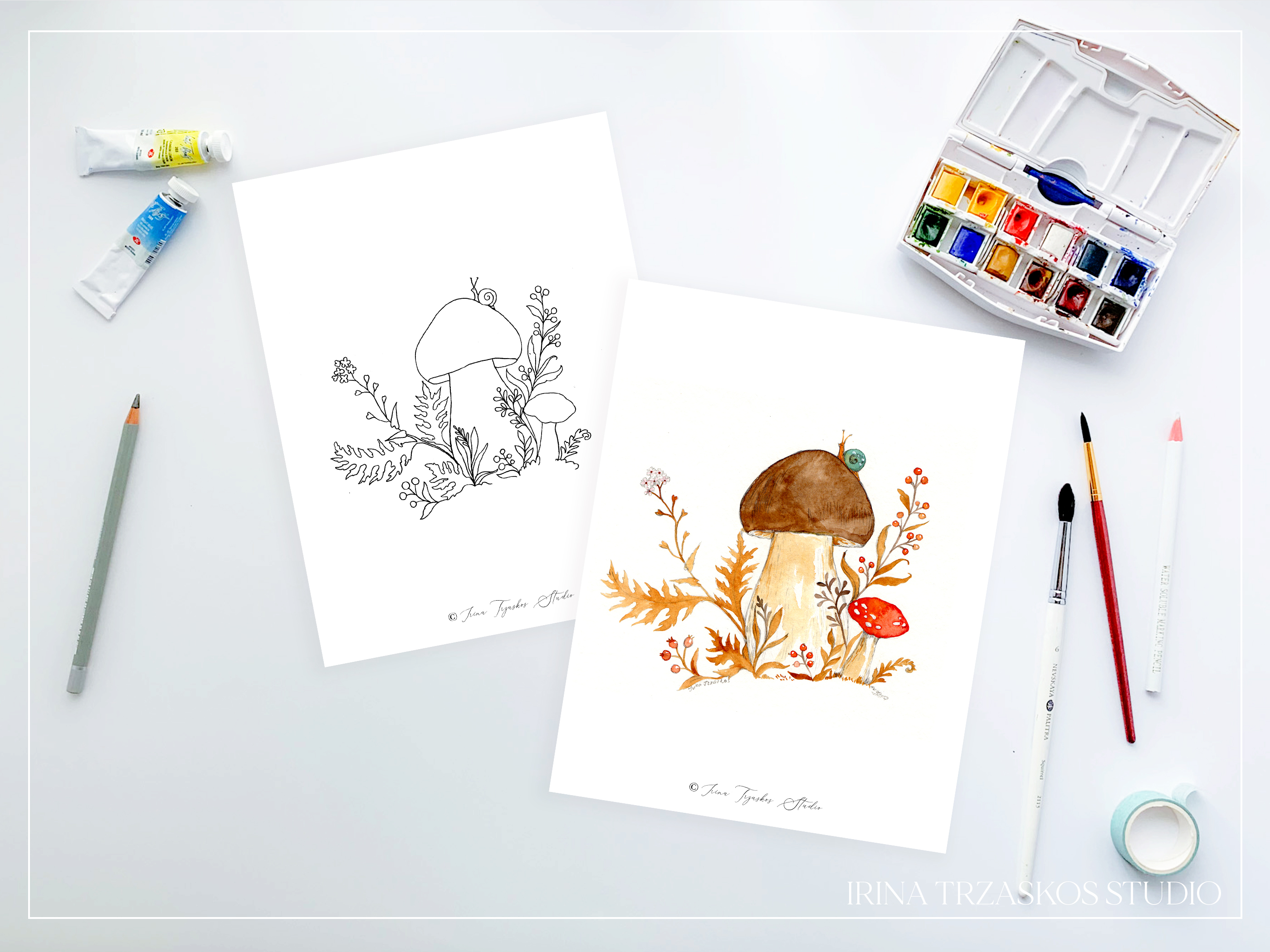 Woodland Illustrations Templates or Coloring Pages + Lesson